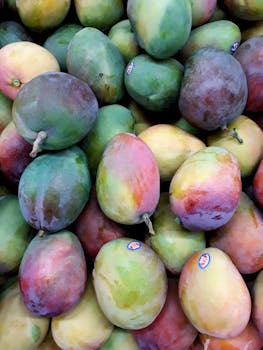 充满活力的成熟芒果系列堆放在一起，展示着新鲜农产品