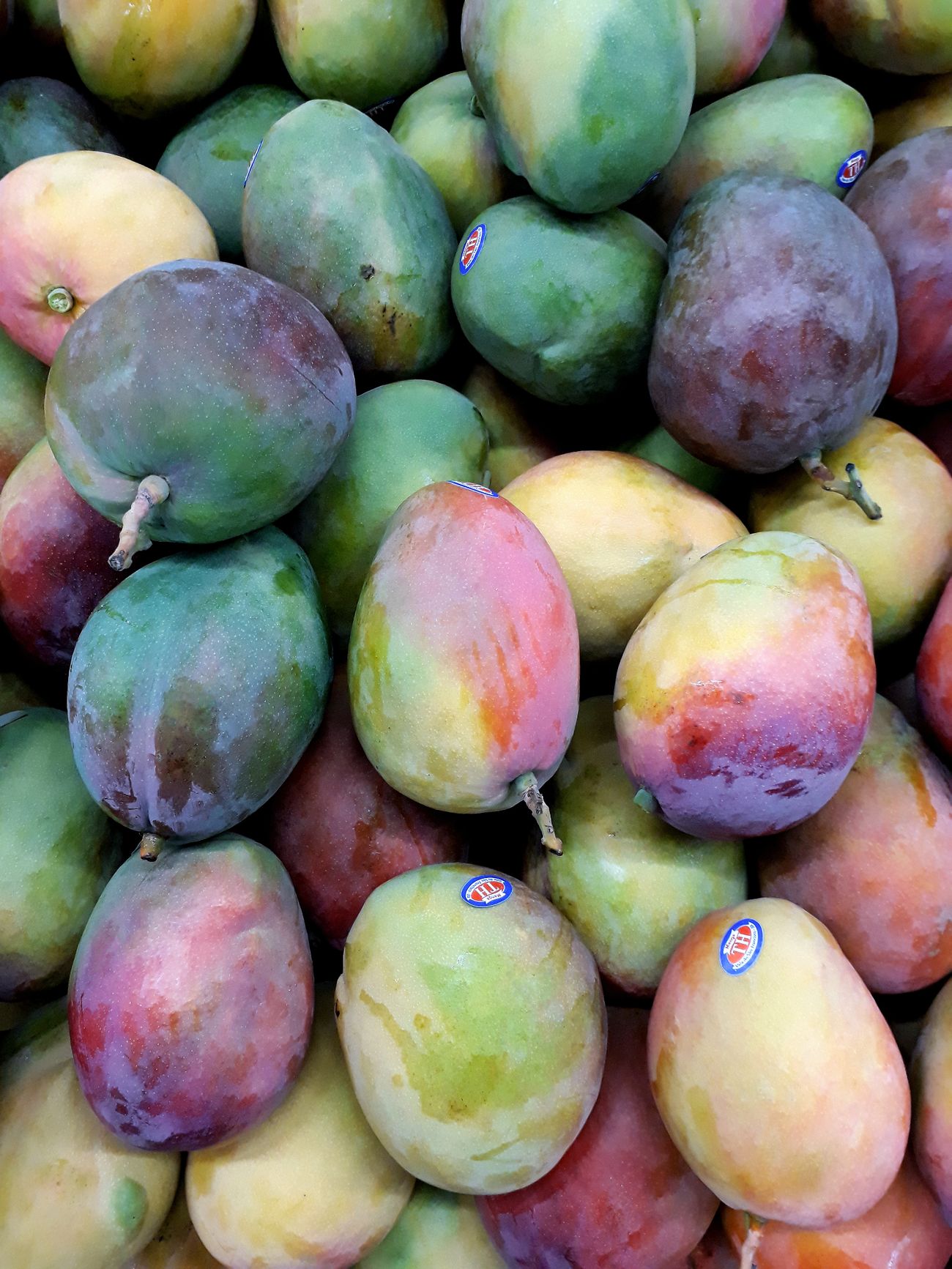 Fresh tropical products