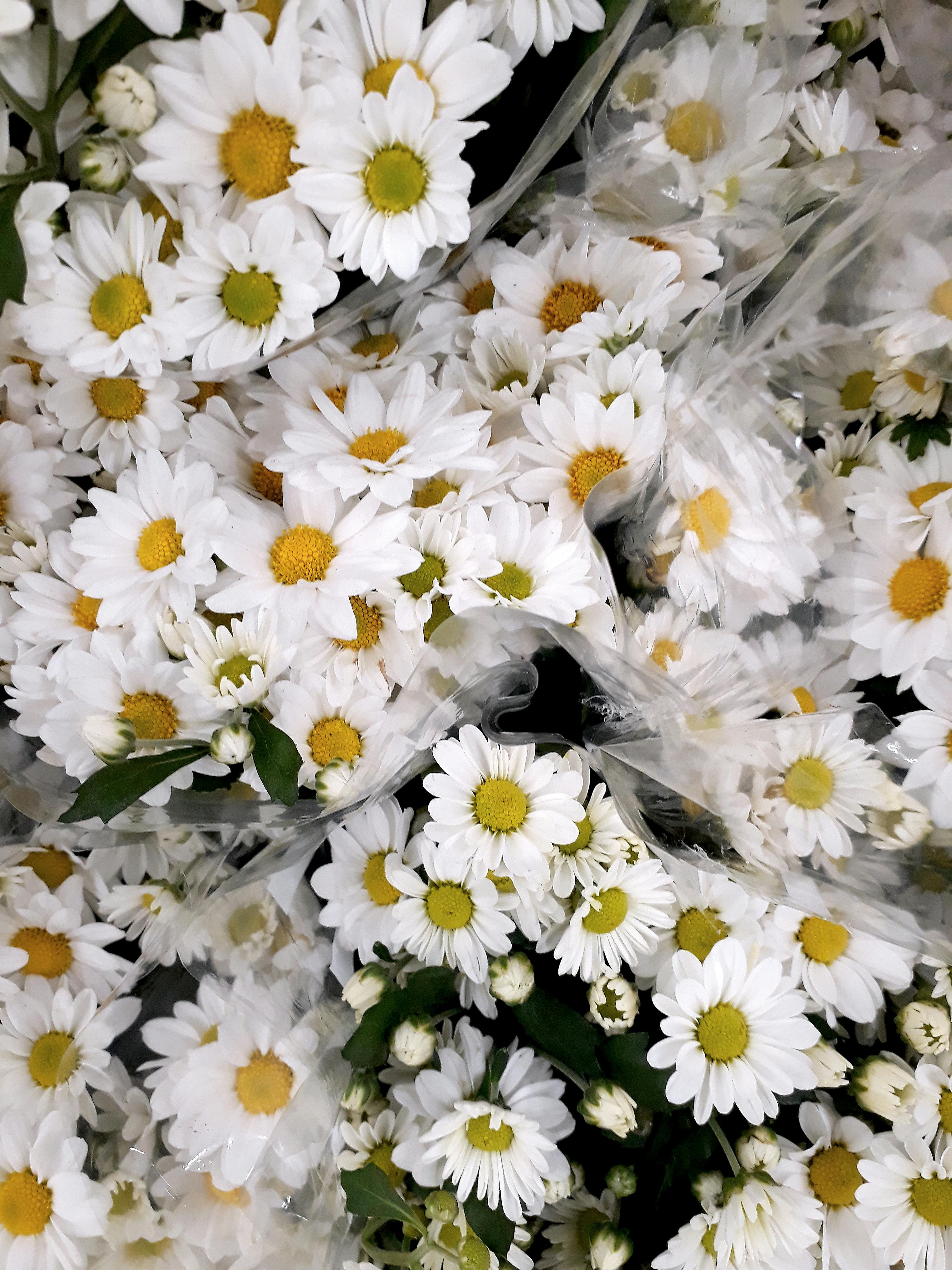 Şehir Alışveriş Merkezi