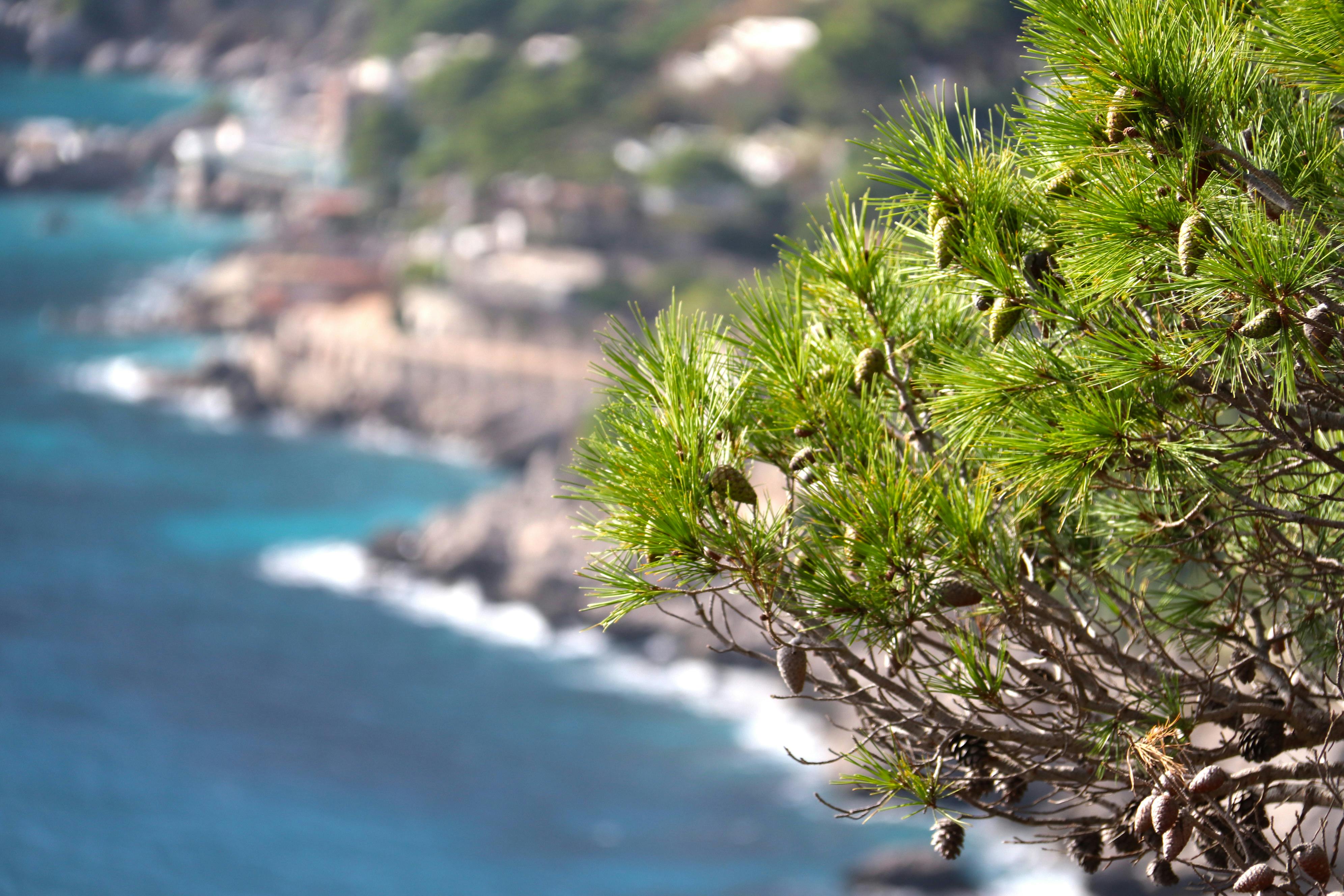 Guerreiros de Terracota em Xi'an