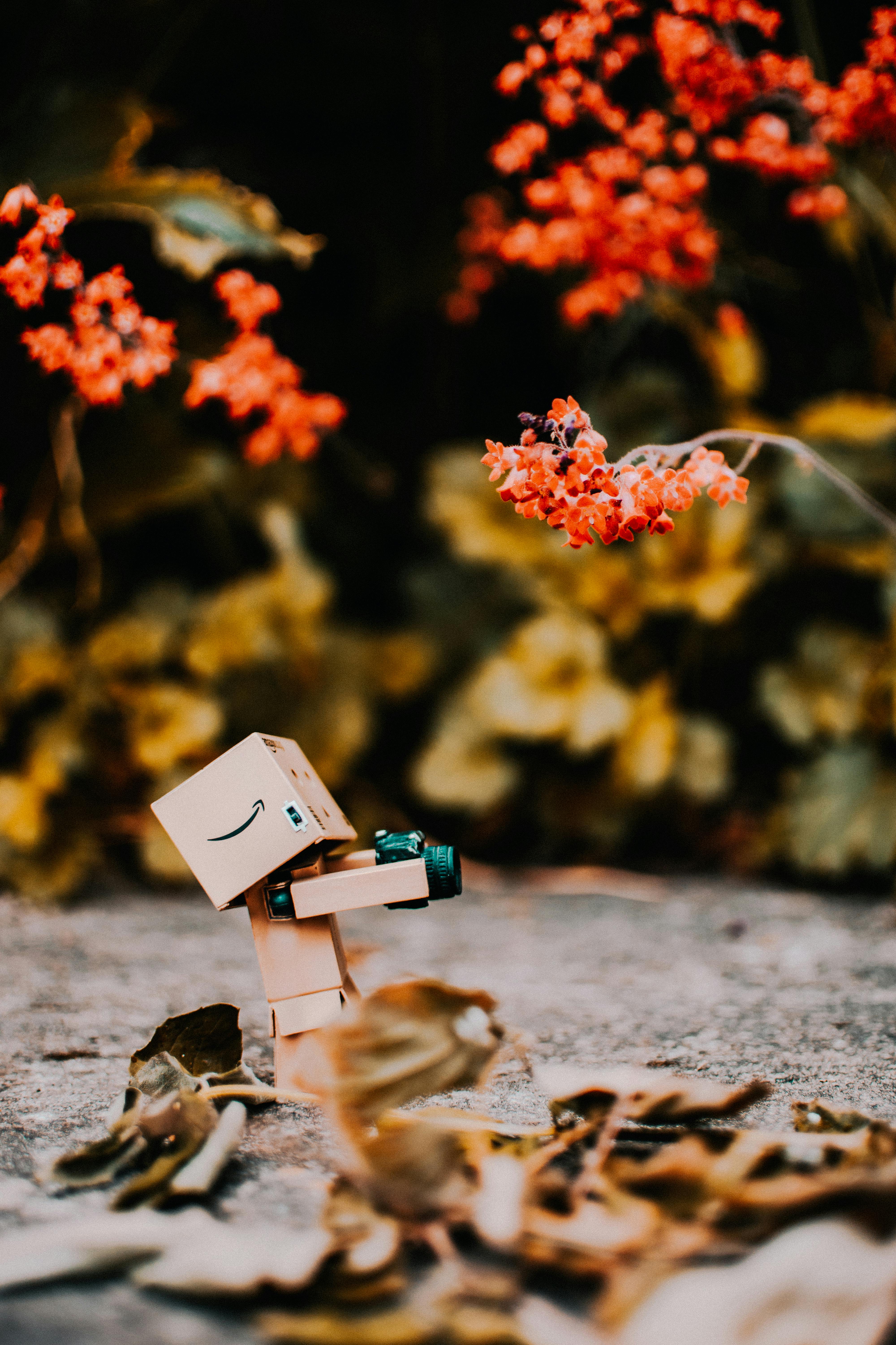 HD wallpaper: danbo, danboard, glass ball, fortune teller, figure, funny |  Wallpaper Flare