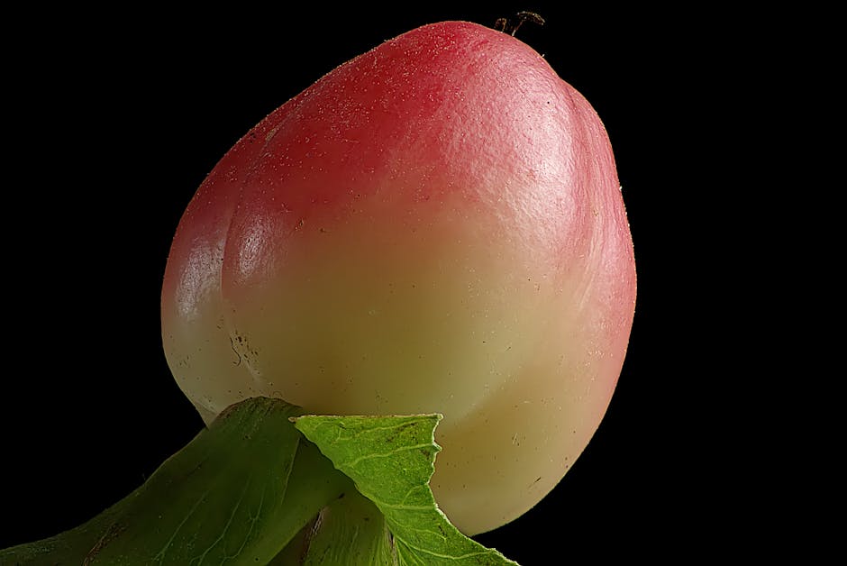 Jamblang (Syzygium cumini) - Featured Image