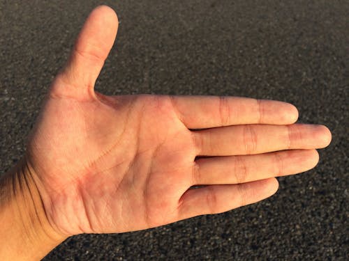 Person Showing His Left Human Palm