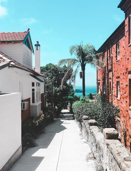 Alleyway Between White and Brown Buildings