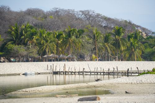 Free A serene tropical beach in Barra de la Cruz, Mexico featuring palm trees and a rustic footbridge. Stock Photo