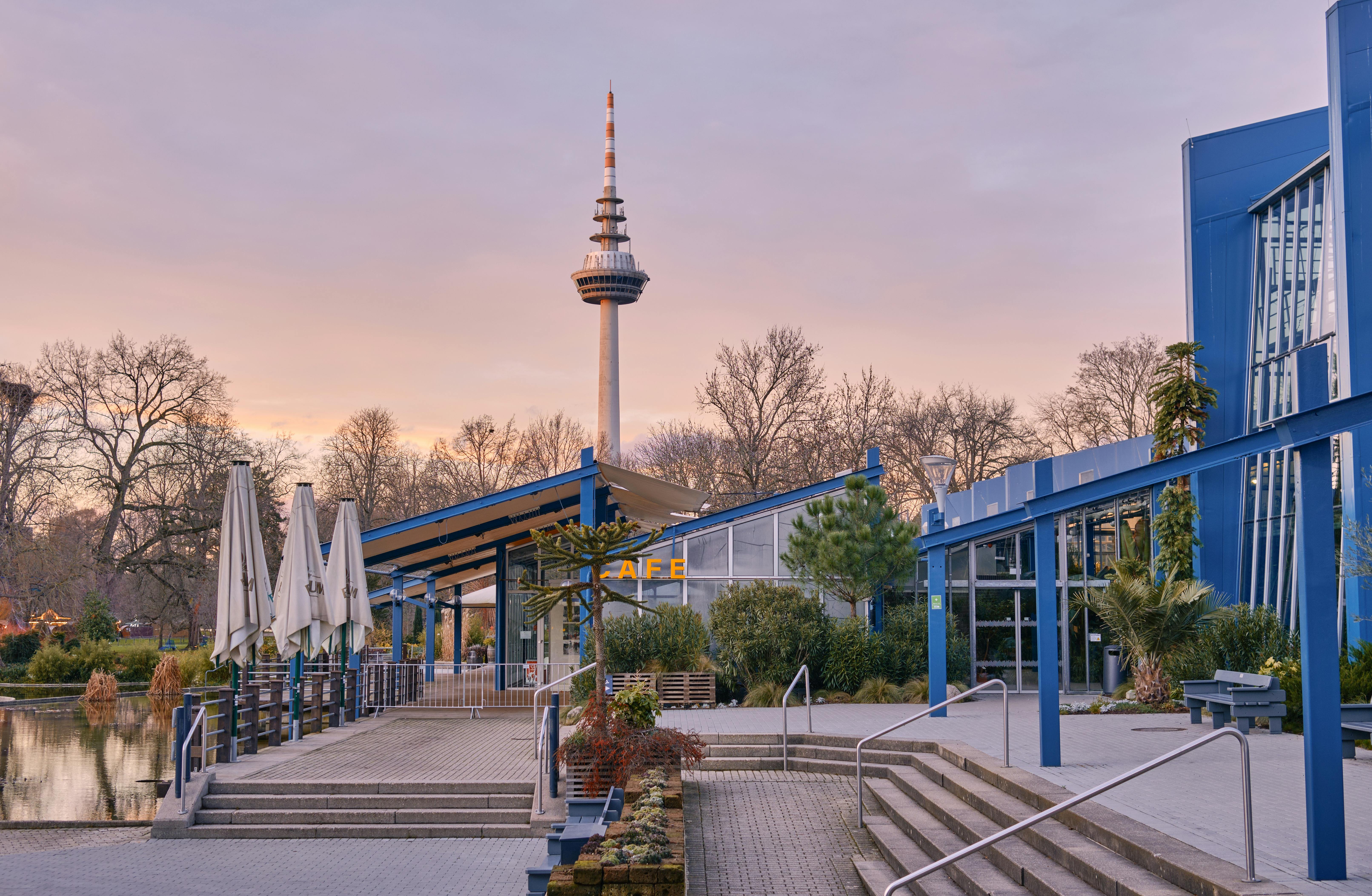 park by the stream in berlin during sunset