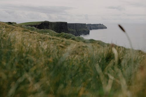 A grassy hill with a cliff in the background