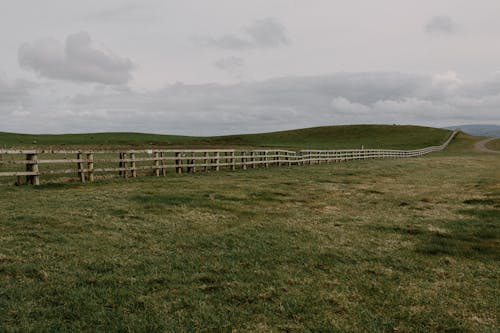 A fence is in the middle of a grassy field