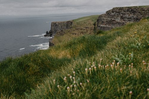 Free Breathtaking view of the Cliffs of Moher with lush green grass and wildflowers. Stock Photo