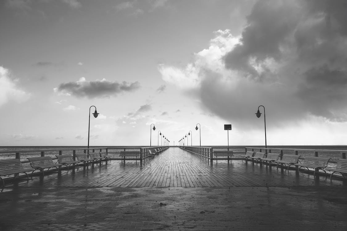 Grey Scale Photo of Birdge