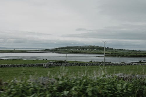 A view of a lake and green grass from a car window