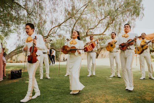 Бесплатное стоковое фото с bodas, homesteading, mariachi