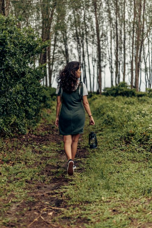 Free Back view of a woman walking on a forest path carrying a lantern, surrounded by lush greenery. Stock Photo