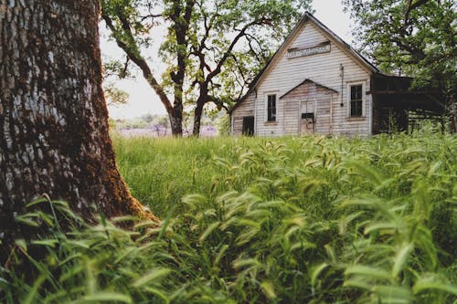 Brown Wooden House Near Trees