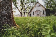 一座废弃的木屋坐落在杂草丛生的草丛和树木间，透着乡村气息