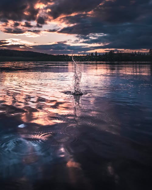 Calm Body of Water during Golden Hour