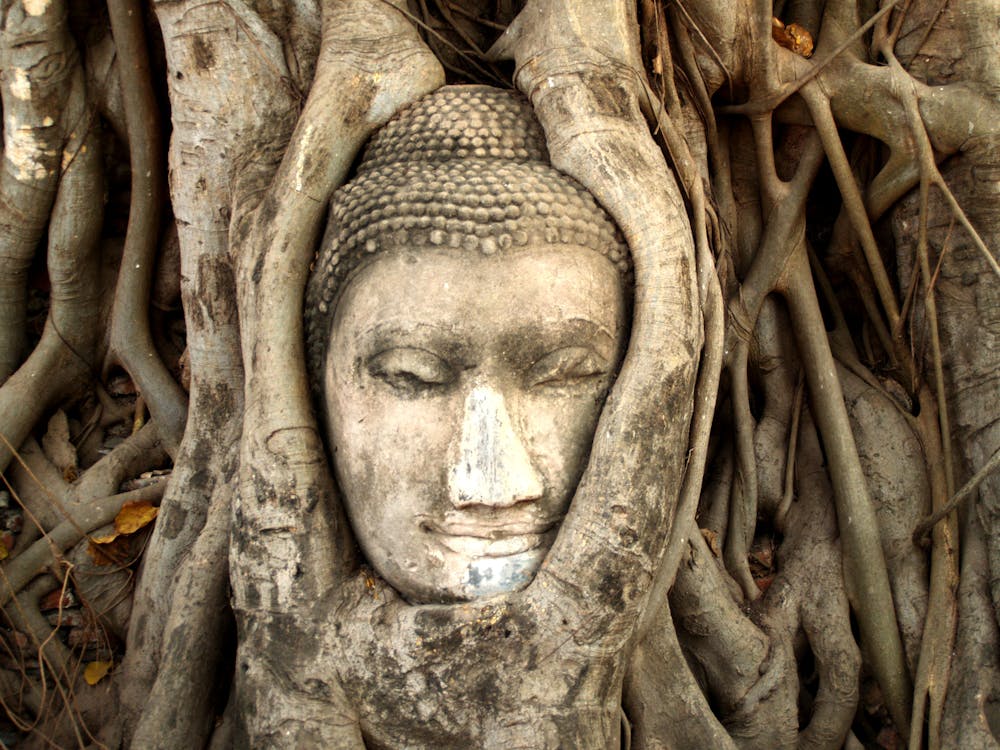 Ingyenes stockfotó arc, ayutthaya, Ázsia témában