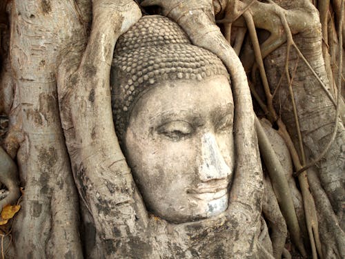 Δωρεάν στοκ φωτογραφιών με ayutthaya, άγαλμα, ανατολικός