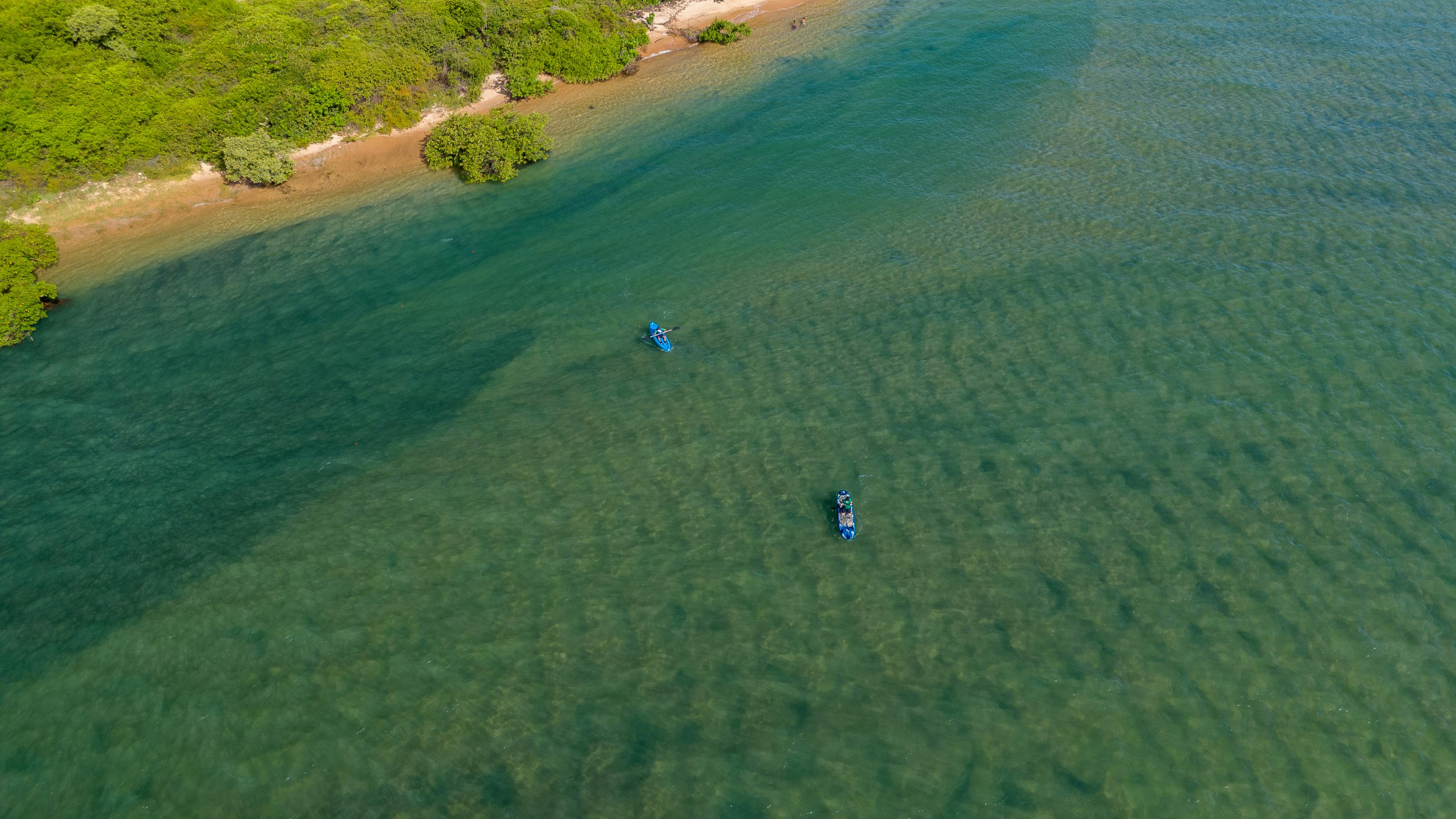 Why Choose a Mangrove Kayaking Adventure?