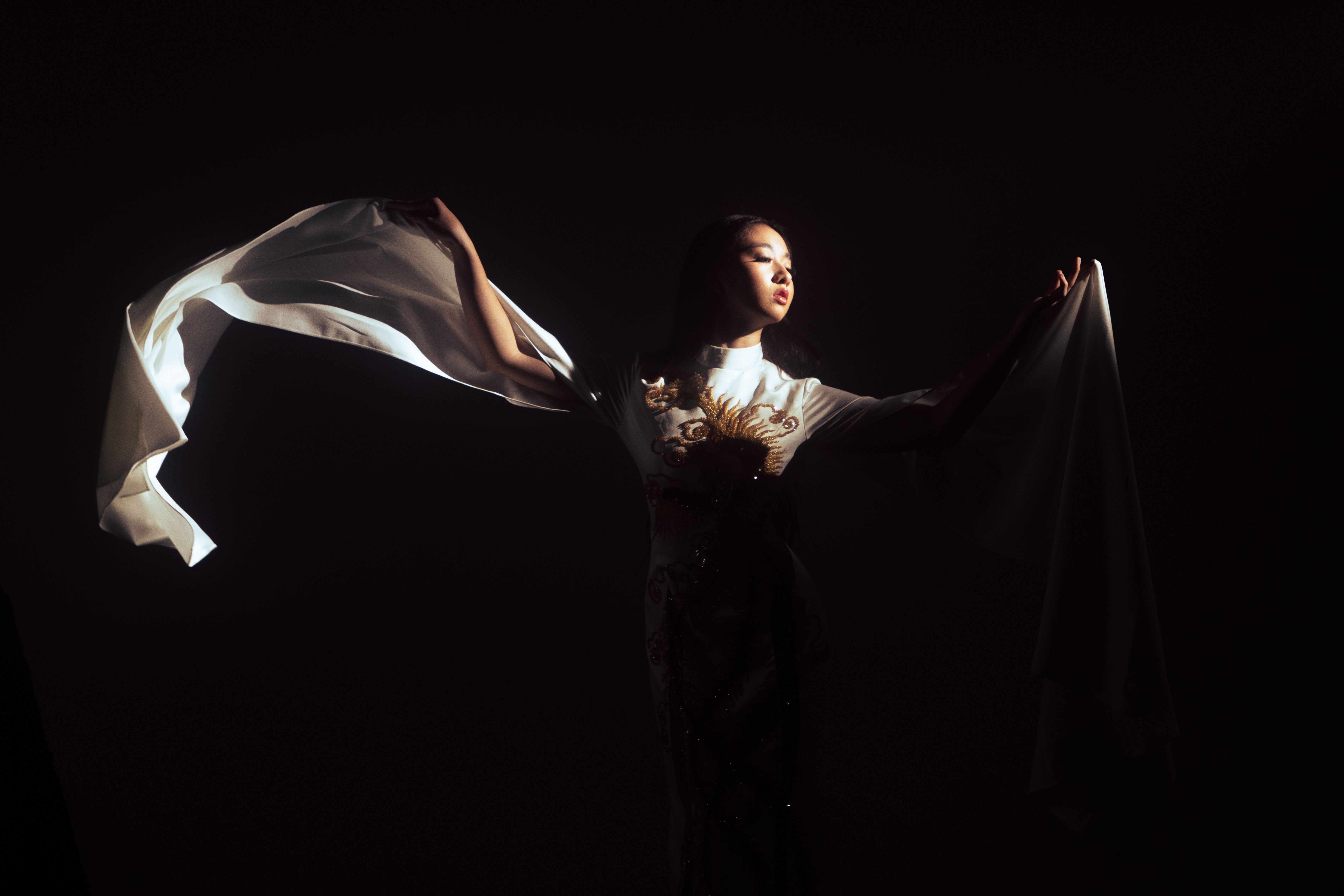 Elegant Woman in a Dress Posing in the Dark · Free Stock Photo