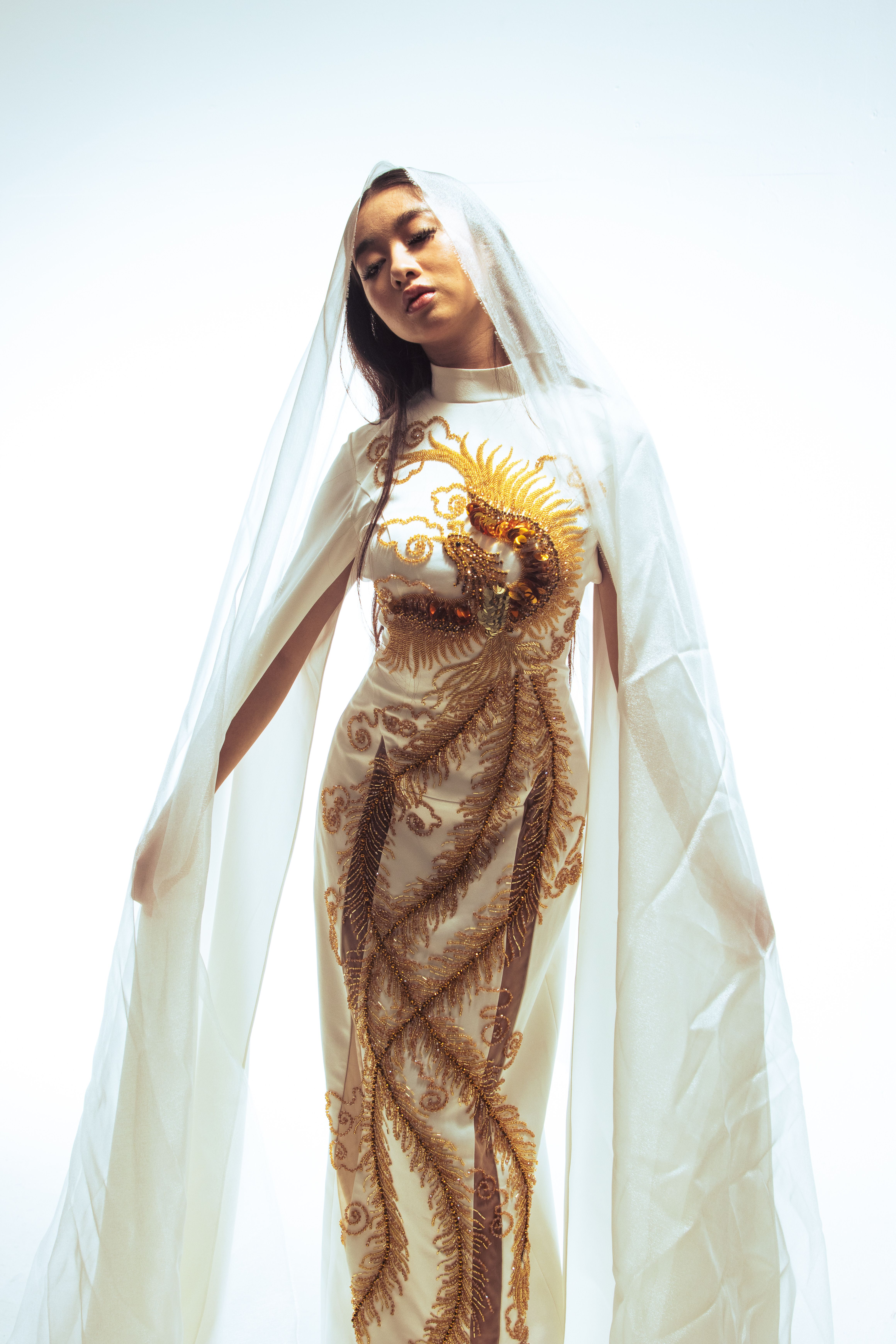 Captivating portrait of a woman in an ornate dress and veil, showcasing elegant traditional fashion.