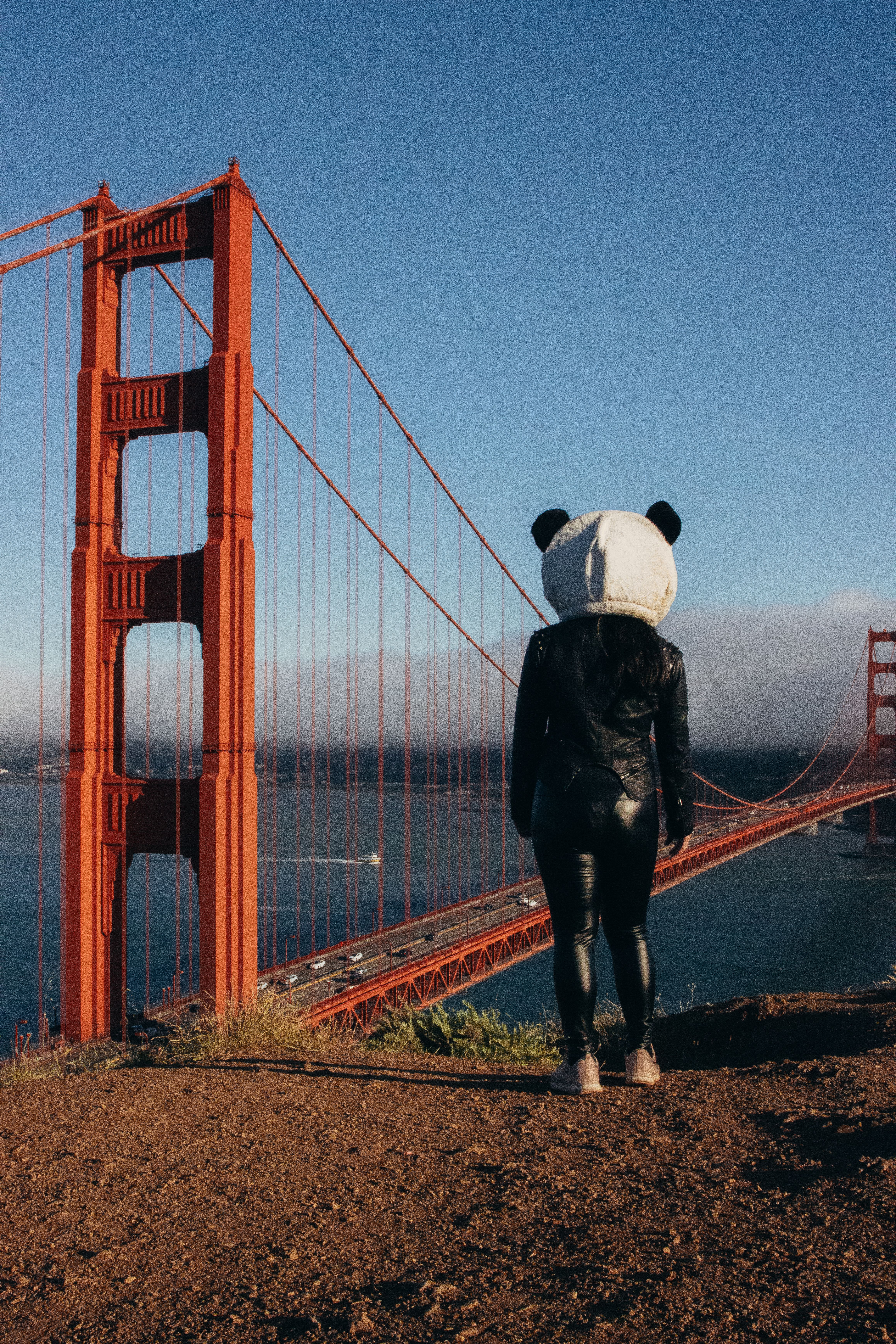 Explorer Panda Photos, Download The BEST Free Explorer Panda Stock ...