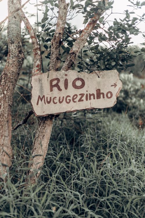 Free Wooden sign on a tree pointing towards Rio Mucugezinho amidst lush greenery, outdoors. Stock Photo