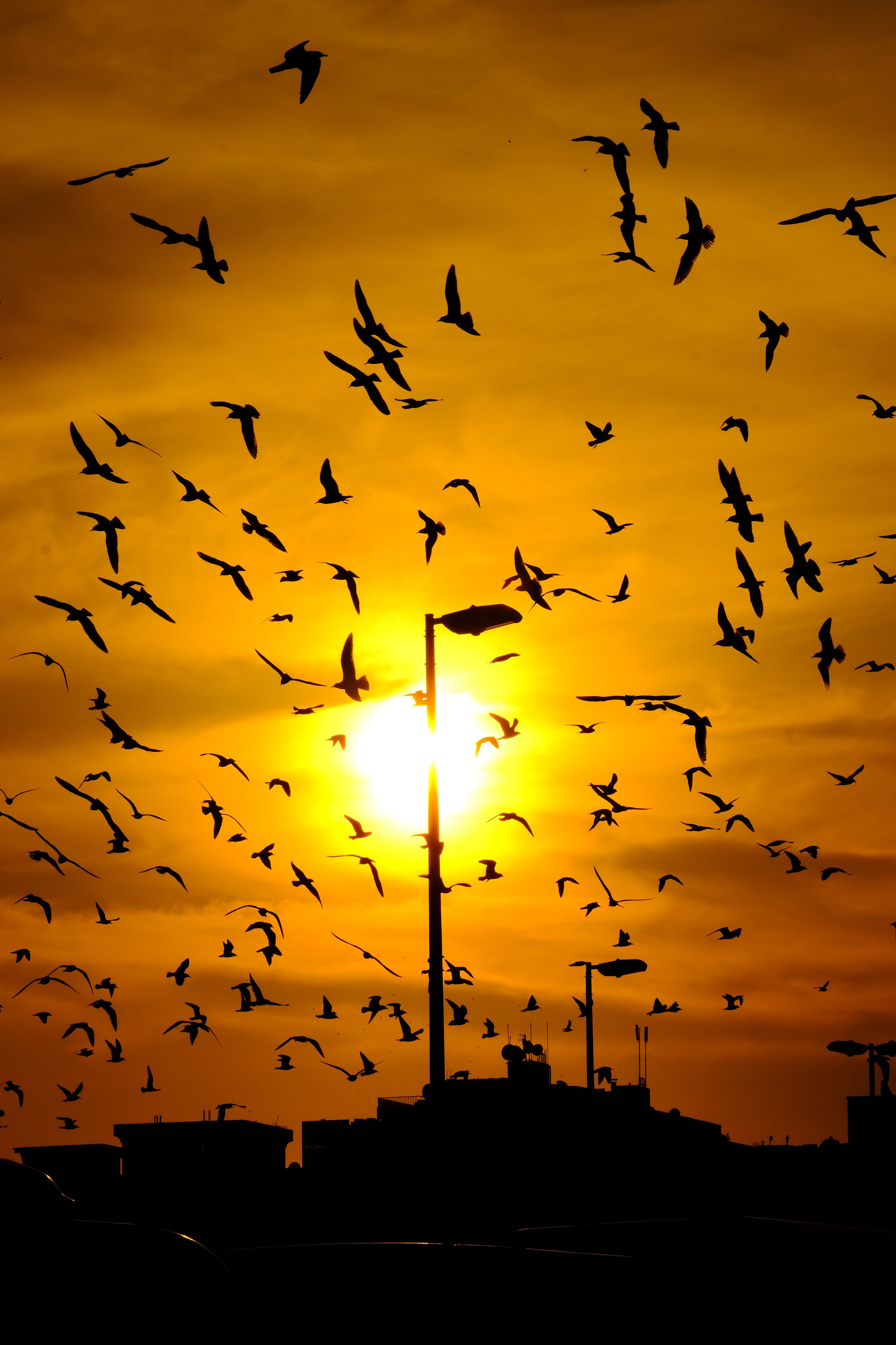 Sun Box Photos, Download The BEST Free Sun Box Stock Photos & HD Images