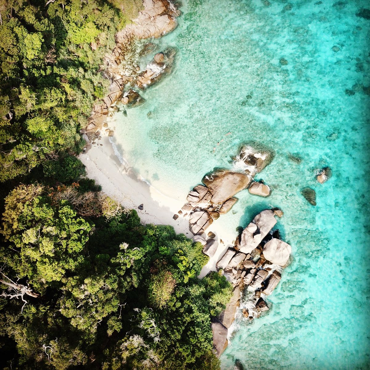Tropical Paradise