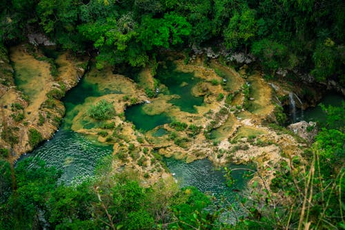 The view from above of a river and green vegetation