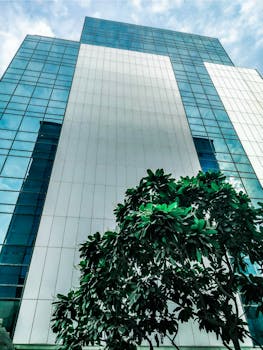 Low angle shot of a modern skyscraper with reflective glass and a green tree in the foreground.