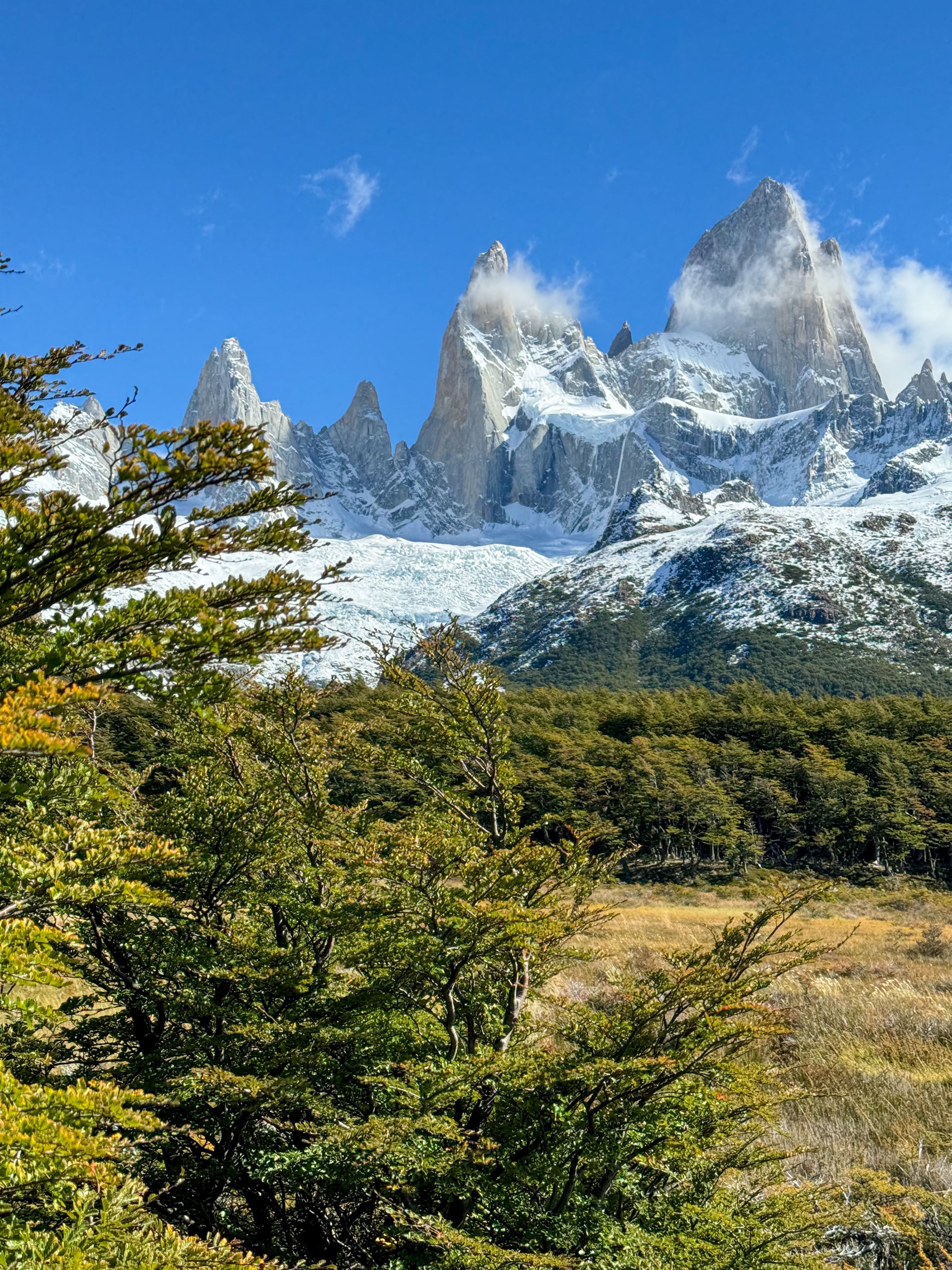 Capture the breathtaking beauty of Fitz Roy in Patagonia, Argentina, surrounded by lush forest.