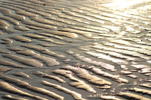 Gratis stockfoto met mooie zonsondergang, strand