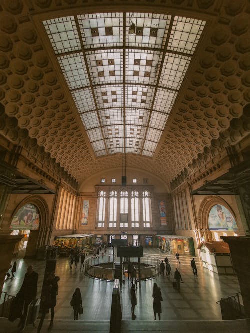 Foto d'estoc gratuïta de aranya, arc, arquitectura