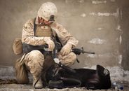 Soldier Sitting on Rock While Playing With Black Dog