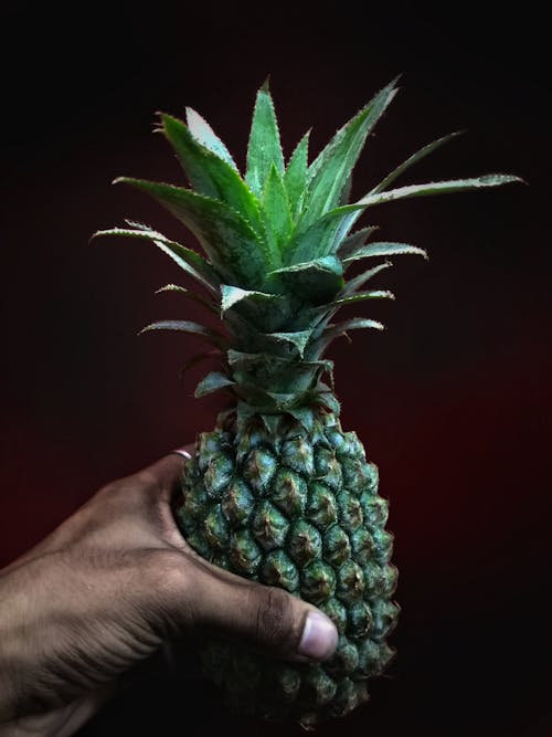 Person Holding Pineapple