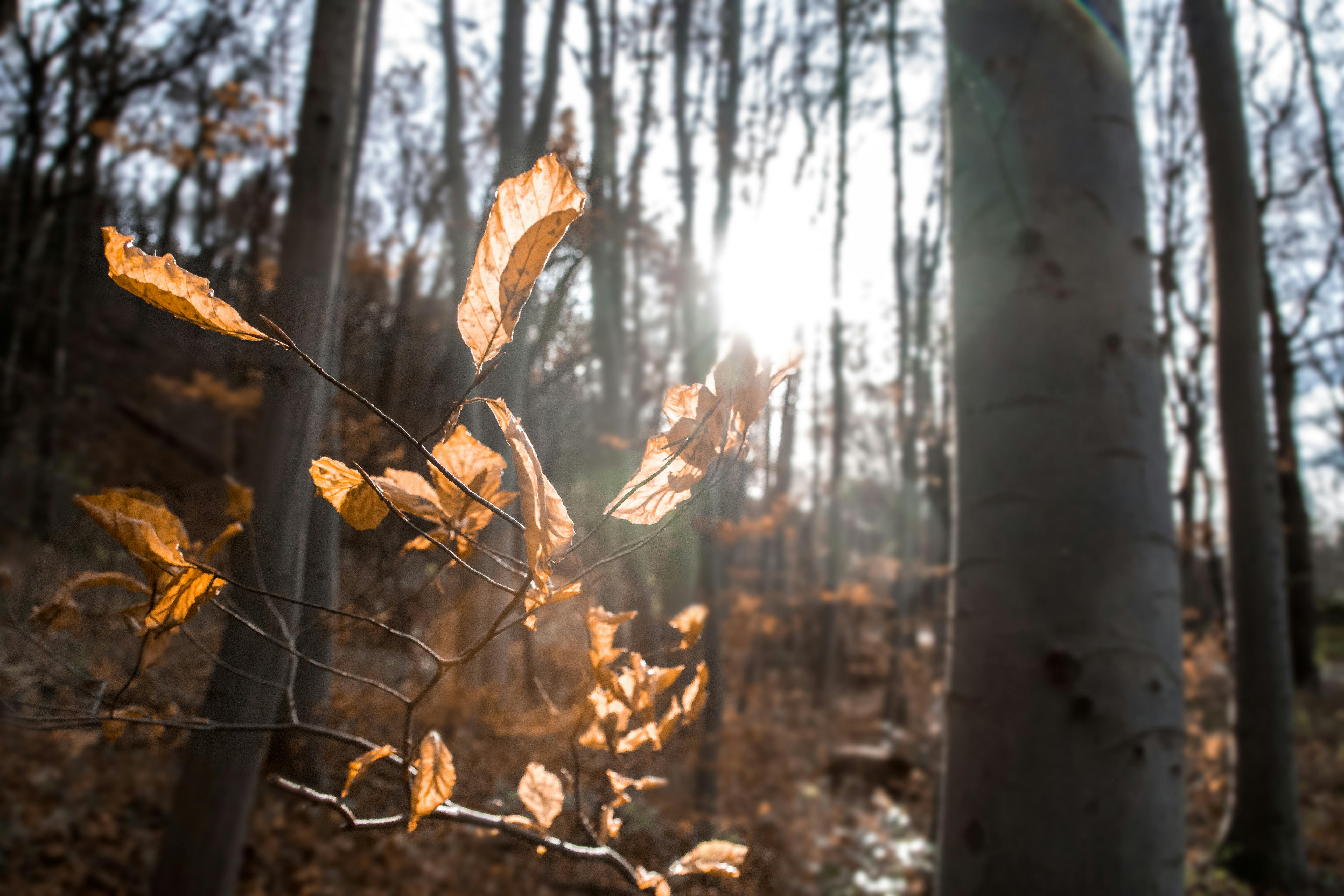 Trẻ 6 tuổi cân nặng bao nhiêu là vừa