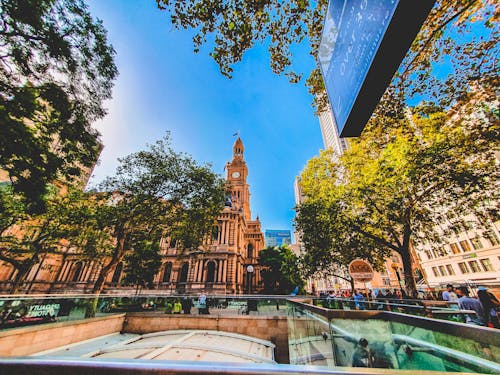 Imagine de stoc gratuită din arbori, arhitectură, australia