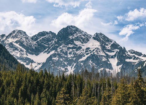 Бесплатное стоковое фото с Альпийский, варварский, вершина