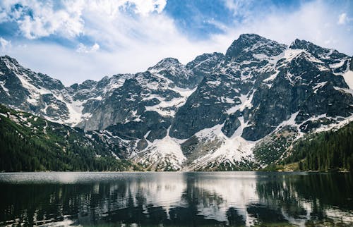Бесплатное стоковое фото с blanc, Альпийский, вид