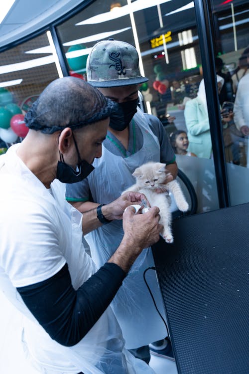 Two men are holding a small animal in their hands