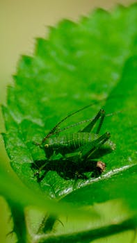 Image by Yasin Karadeniz