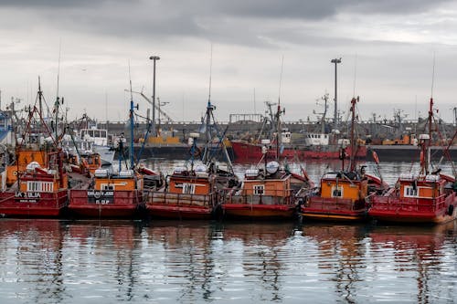 Ingyenes stockfotó barcos pesqueiros, folyó, hajó témában