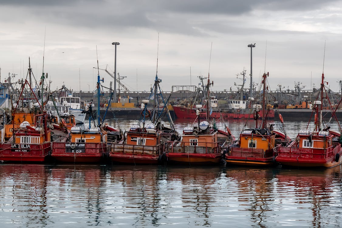 Základová fotografie zdarma na téma barcos pesqueiros, cestování, člun