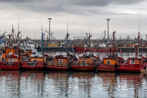 Free Colorful fishing boats docked in Mar del Plata harbor, Argentina, on a cloudy day. Stock Photo
