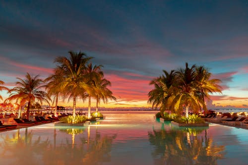 ropical Paradise at Dusk: Experience the stunning blend of fiery skies and serene waters at a luxurious Maldives resort, where palm trees are silhouetted against the vibrant sunset, and tr...