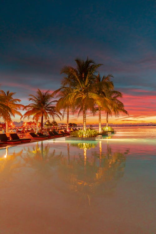 ropical Paradise at Dusk: Experience the stunning blend of fiery skies and serene waters at a luxurious Maldives resort, where palm trees are silhouetted against the vibrant sunset, and tr...