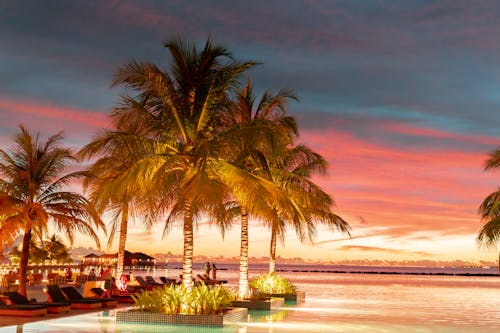 ropical Paradise at Dusk: Experience the stunning blend of fiery skies and serene waters at a luxurious Maldives resort, where palm trees are silhouetted against the vibrant sunset, and tr...