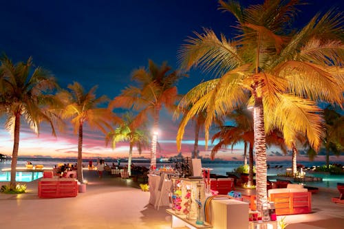 ropical Paradise at Dusk: Experience the stunning blend of fiery skies and serene waters at a luxurious Maldives resort, where palm trees are silhouetted against the vibrant sunset, and tr...