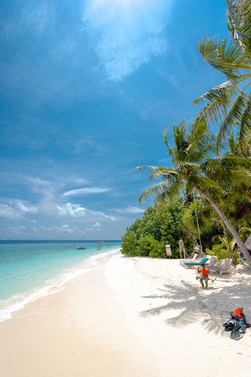 Free Relaxing tropical beach with palm trees and clear skies. Perfect summer getaway scene. Stock Photo